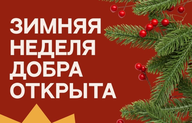 Зимняя Неделя добра.